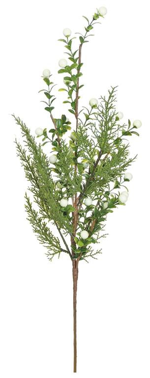 White boxwood cypress berry spray, 20 inch
