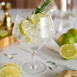 Viski Raye Angled Crystal Gin & Tonic Glasses, Lead-Free Crystal, Set of 2, 14 oz