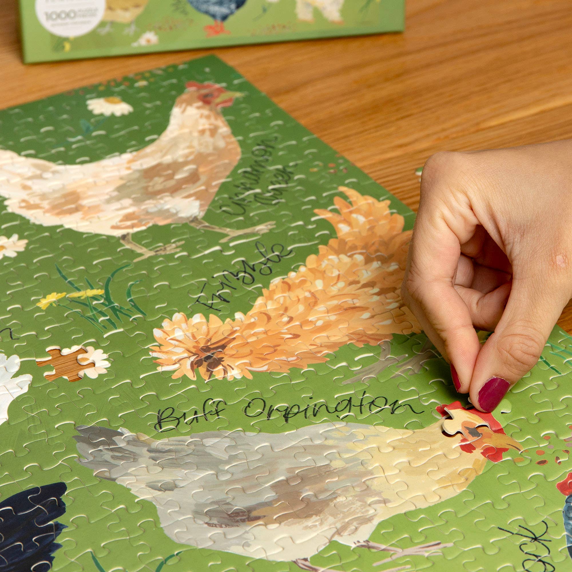 Chicken Meadows 1,000 piece chicken jigsaw puzzle, view 5 of 8
