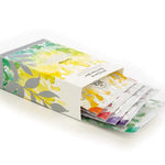 Green tea sampler from The Tea Spot, a Boulder, Colorado tea company