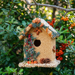 Seed-covered wooden birdhouse trimmed with juniper, cranberries, and pine cones in a garden