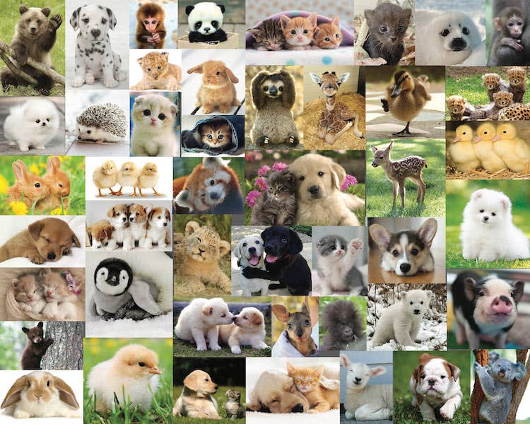 Completed Cute, Cute, Cute 1,000-piece jigsaw puzzle: a photo grid of adorable baby animals including puppies, kittens and ducklings