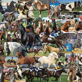 Completed Horses, Horses, Horses 1,000-piece jigsaw puzzle: a collage of horse breeds including thoroughbreds, Appaloosas, mustangs and Clydesdales