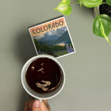 Colorado Bear and Spring Flowers Ceramic Coaster