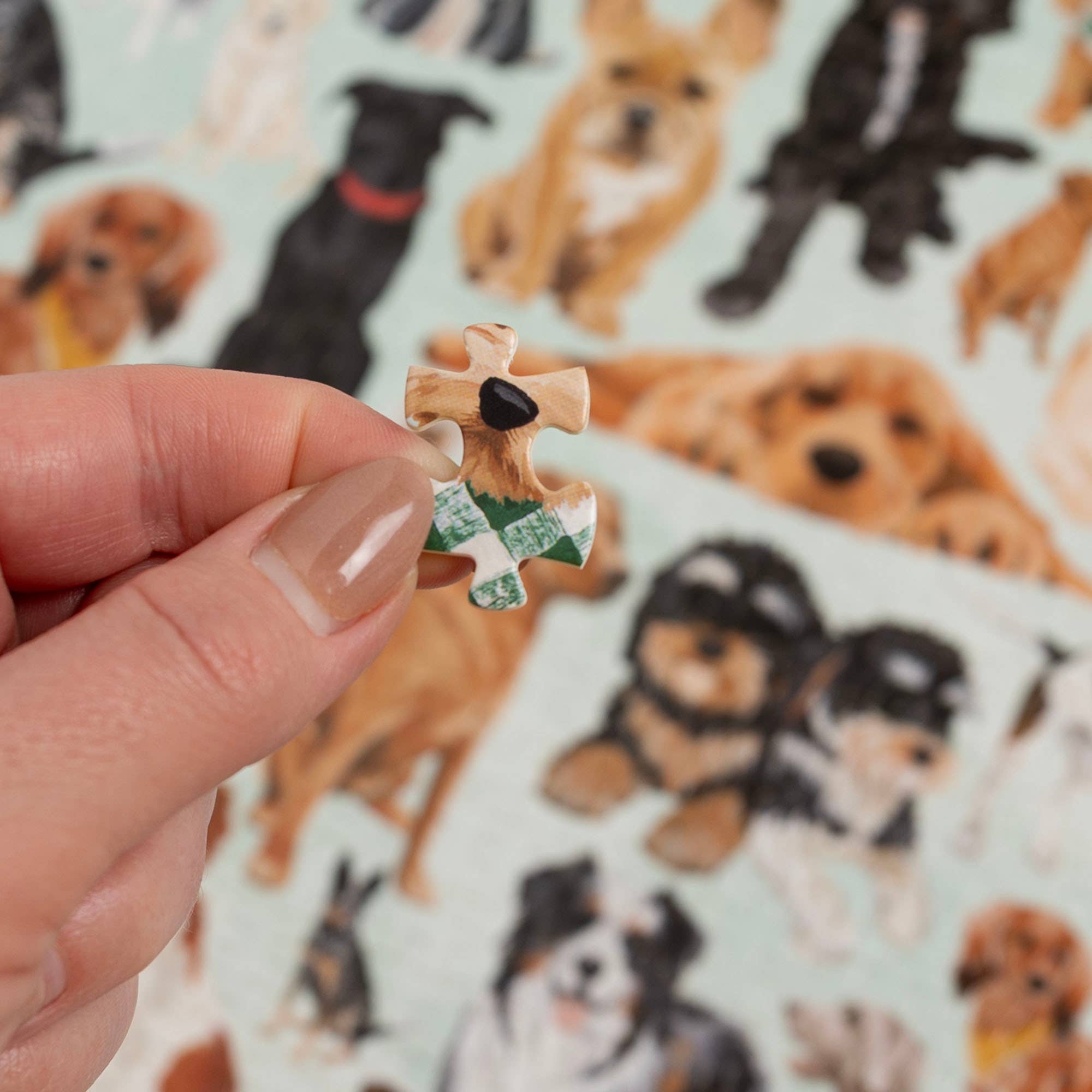 Furry Friends 1,000 piece dog breeds jigsaw puzzle, view 3 of 8