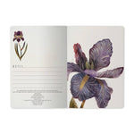 A5 ruled notebook with a painted iris cover design, detail view