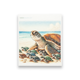 Swedish Dishcloth Momma Turtle with kids