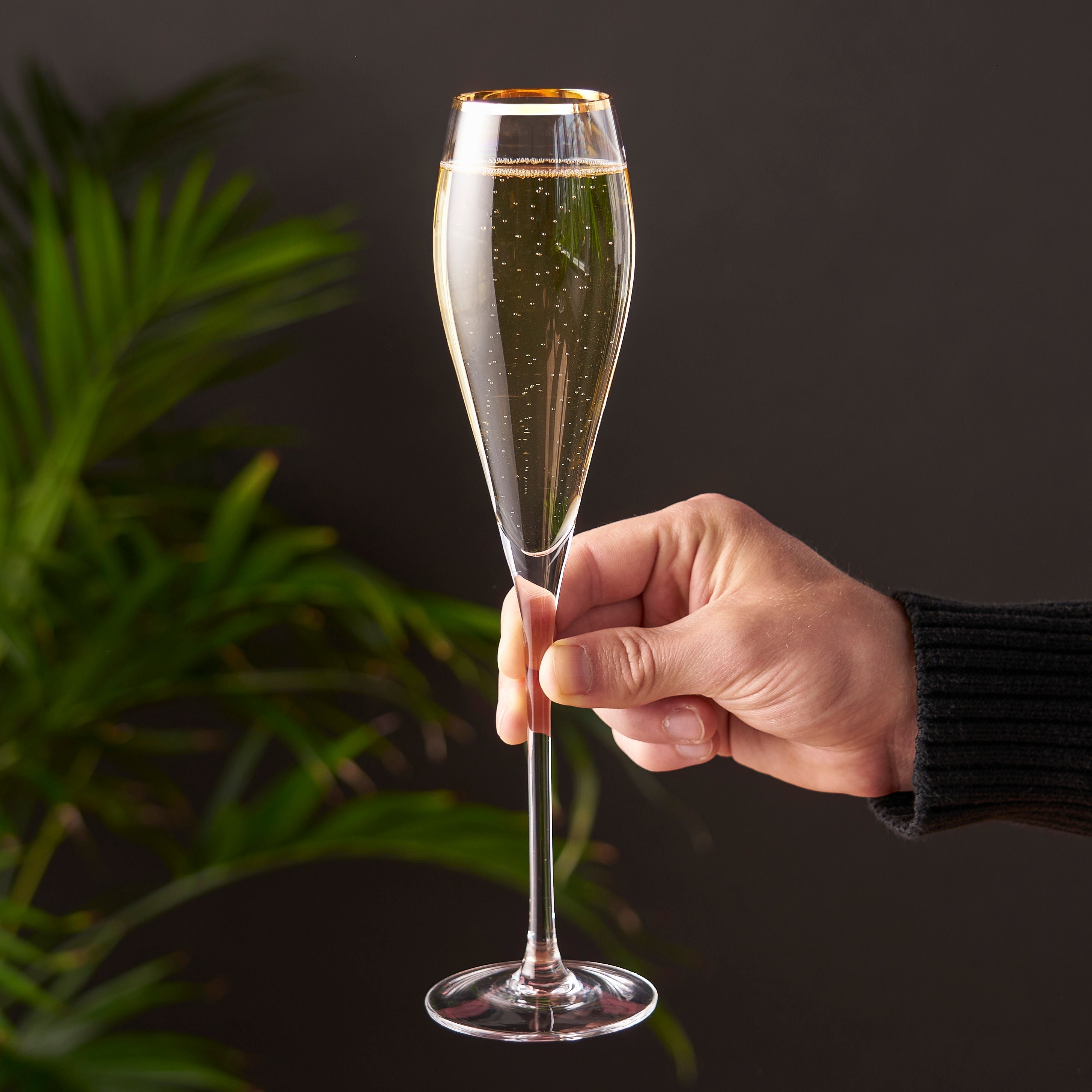 Viski Gold-Rimmed Crystal Champagne Flutes