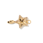 Star clip-on charm