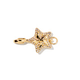 Star clip-on charm